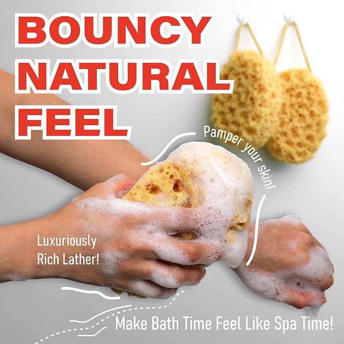 myHomeBody Bath Sponge, Foam Loofah, Shower Sponge for Body, Oval, 3 Pack | Large Size, Lots of Lather, Bath Sponges for Shower, Body Scrubber for Bathing, Body Wash Women, Exfoliating Loofah Sponge