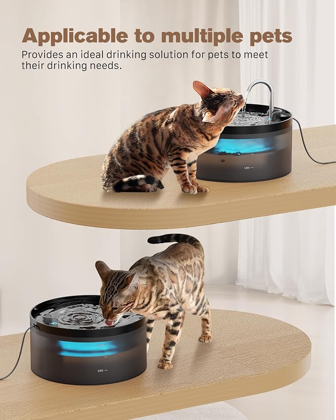 Black Cat Water Fountain: with 6 Carbon Filters + 3 Sponge Filters | 108oz/3.2L Pet Water Fountain Quiet Cat Water Fountains Indoor Faucet Cat Fountain for Cats and Dogs