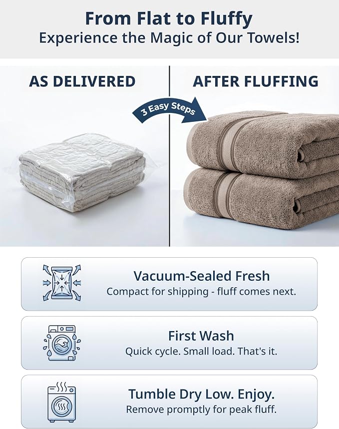 LANE LINEN Large Bath Sheets Oversized Soft Absorbent 4 Pack - Platinum | Bathroom Towels Large - Lightweight & Breathable, Fade-Resistant Color, Classic Terry Weave, Densely Woven