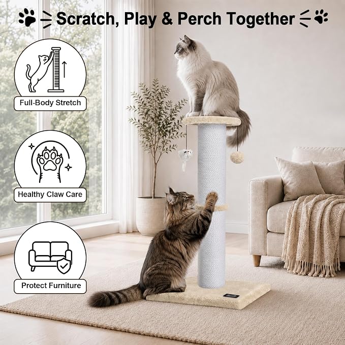 34-Inch Tall Cat Scratching Post for Large Cats, Stable Base, Beige | Heavy-Duty Cat Scratcher, Extra-Tall Thick Post, Soft Natural Cotton Rope, Hanging Interactive Cat Toys, Indoor Cat Furniture