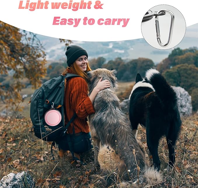 Large Dog Bowl Pet Collapsible Bowls, 2 Pack Collapsible Dog Water Bowls for Cat Dogs Portable Pet Feeding Water Dish for Walking Parking Traveling with 2 Carabiners (Large, Fairy pink & Sprout Green)