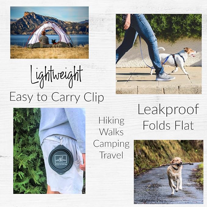 Lucky Love Dog, Collapsible Dog Bowl Compact Travel Water Dog Dish, Steel