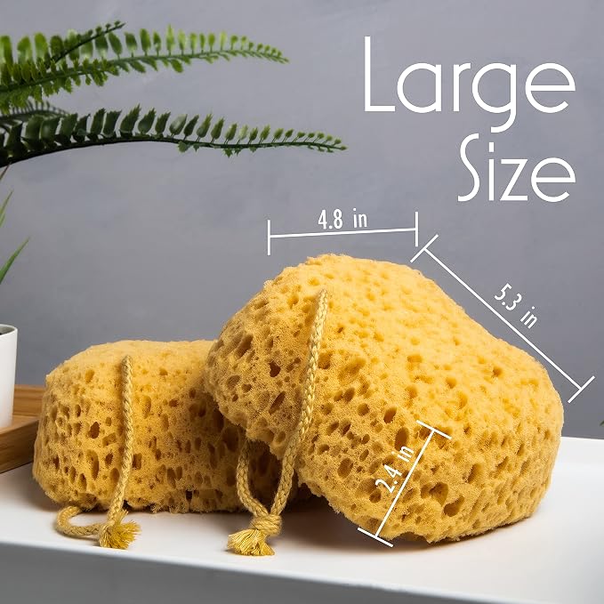 myHomeBody Bath Sponge, Foam Loofah, Shower Sponge for Body, Curvy, 3 Pack | Large Size, Lots of Lather, Bath Sponges for Shower, Body Scrubber for Bathing, Body Wash Women, Exfoliating Loofah Sponge