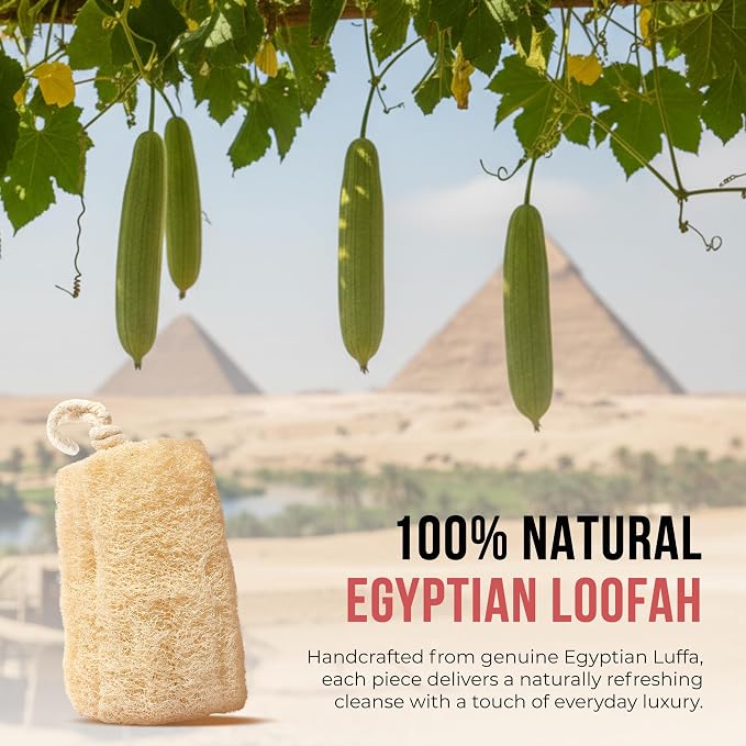 SERRENTO Loofah Body Scrubber Shower - Egyptian Luffa Sponge Pack of 3 Tan | Natural Egyptian plastic-free loofah gently exfoliate and cleanses skin while creating a rich lather for a refreshing shower