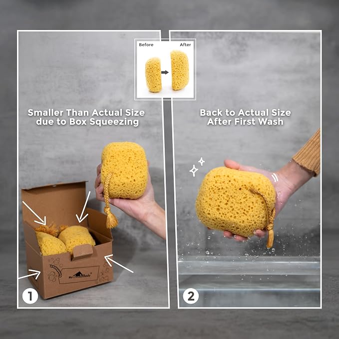myHomeBody Bath Sponge, Foam Loofah, Shower Sponge for Body, Curvy, 3 Pack | Large Size, Lots of Lather, Bath Sponges for Shower, Body Scrubber for Bathing, Body Wash Women, Exfoliating Loofah Sponge