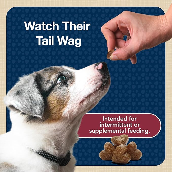 Blue Buffalo Bits Beef Training Treats, 11 oz | Real Beef First, DHA for Cognitive Development, No Chicken By-Product Meals, Free from Red Dye 40