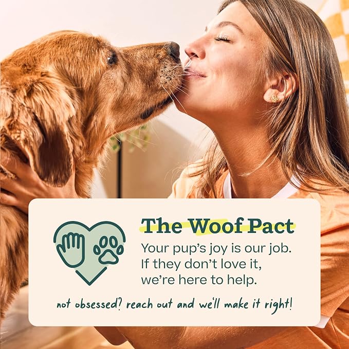 WOOF Pupsicle Peanut Butter & Beef Refill Pops Dog Treats, Large, 2 Pack | For large Pupsicles, 14 total treats, peanut butter & beef flavor, long-lasting treats, pre-made Pops, shelf stable