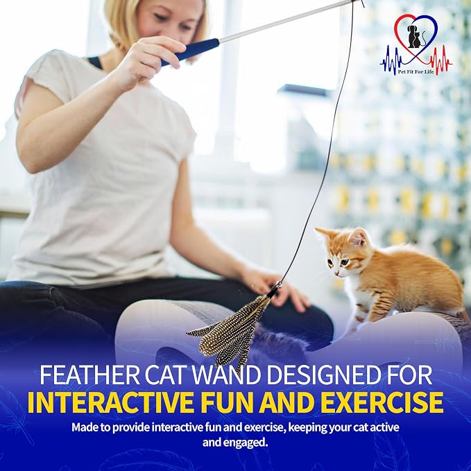 Pet Fit For Life Cat Feather Wand Toys – Interactive Cat Wand Toy for Indoor Pets | 2 Feather Attachments | Promotes Animal Health & Fitness, Made w/ Soft & Durable Materials | Gift (Brown)