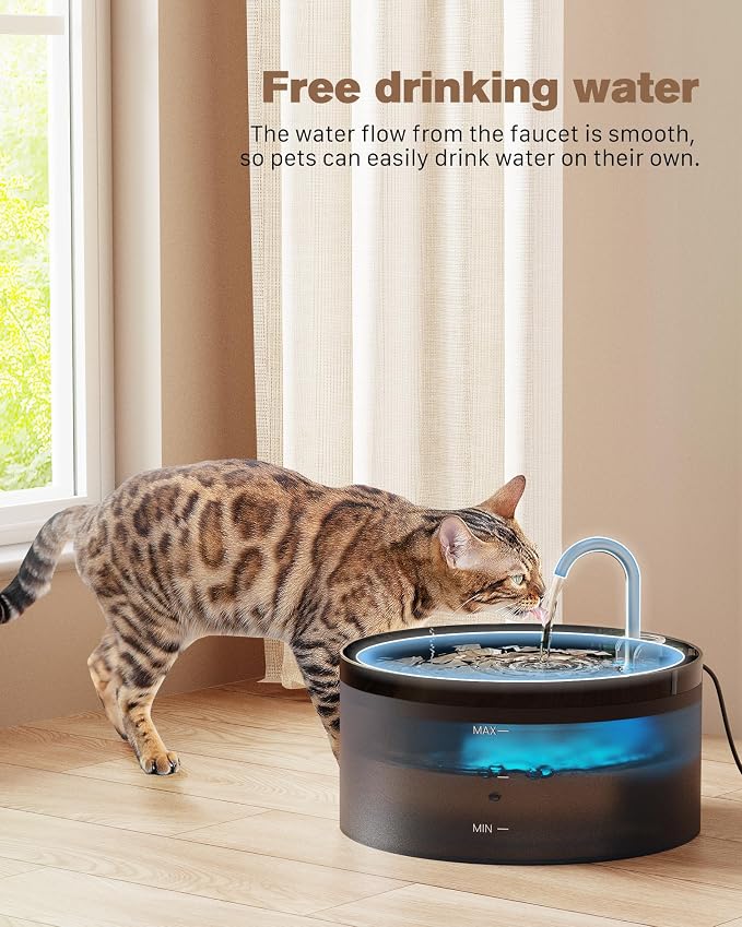 Black Cat Water Fountain: with 6 Carbon Filters + 3 Sponge Filters | 108oz/3.2L Pet Water Fountain Quiet Cat Water Fountains Indoor Faucet Cat Fountain for Cats and Dogs