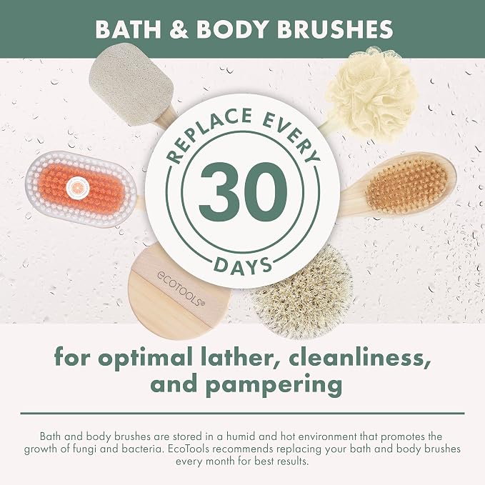EcoTools Bristle Bath Brush, Shower Body Brush with Gentle, Stiff Bristles, Long Bamboo Handle, Gently Exfoliating for Back & Body, Stimulates Blood Circulation, Eco-Friendly, 1 Count (Pack of 2)