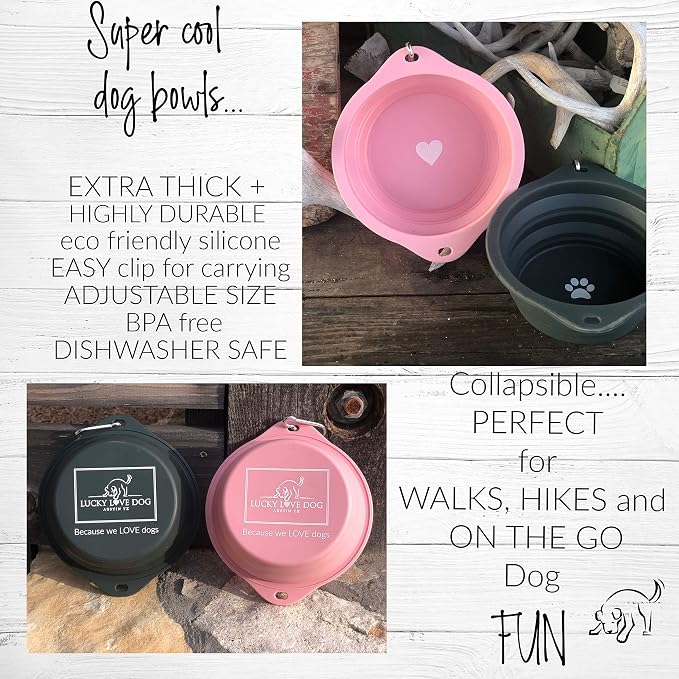 Lucky Love Dog, Collapsible Dog Bowl Compact Travel Water Dog Dish, Steel