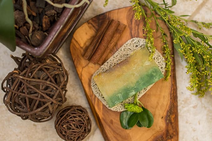 Aira Soap Saver - Dish & Holder - BPA Free Shower & Bath Soap Holder - Drains Water, Circulates Air, Extends Soap Life - Easy to Clean, Fits All Dish Sets - Sage Turtle